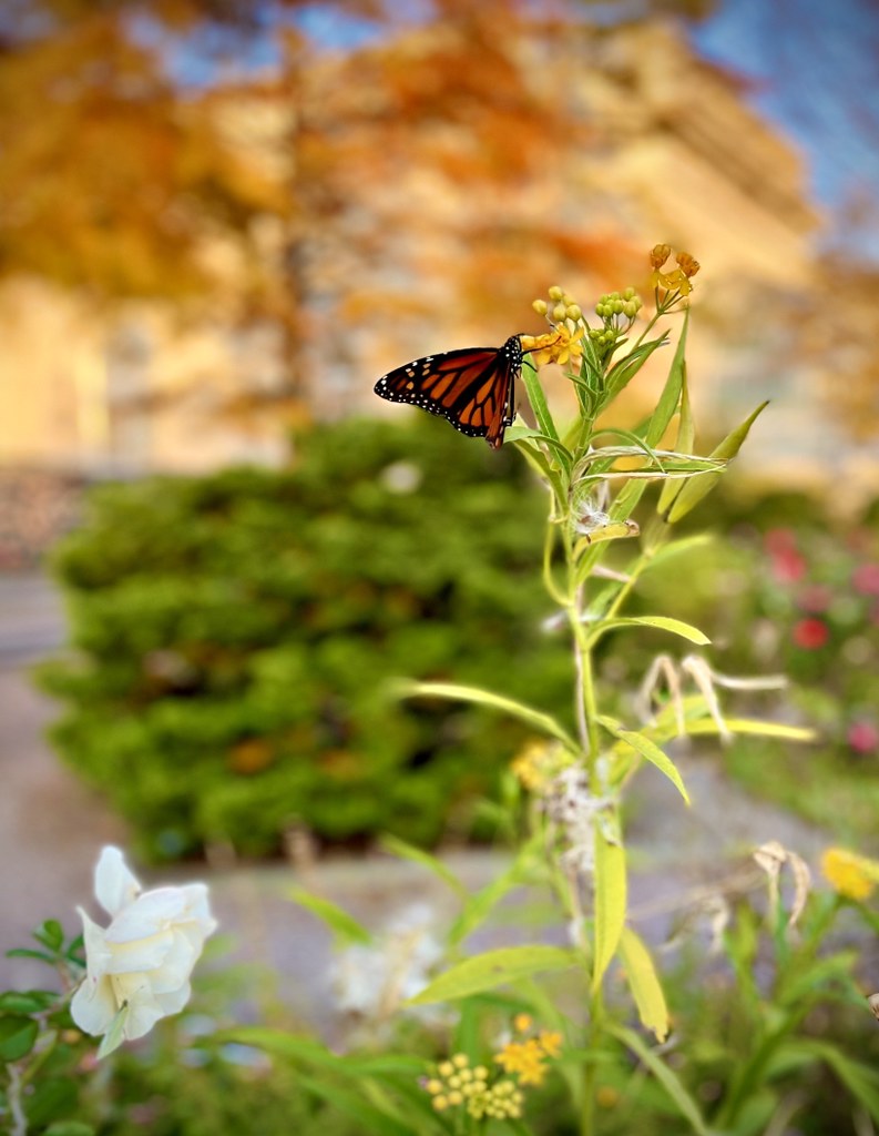 Gifts of the Spirit Give me Hope